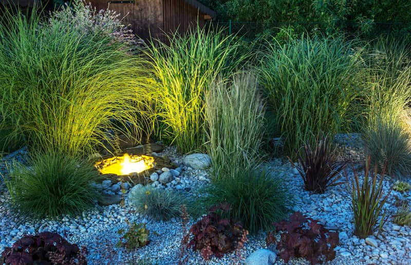 Picturesque Curb Appeal With Landscape Lighting