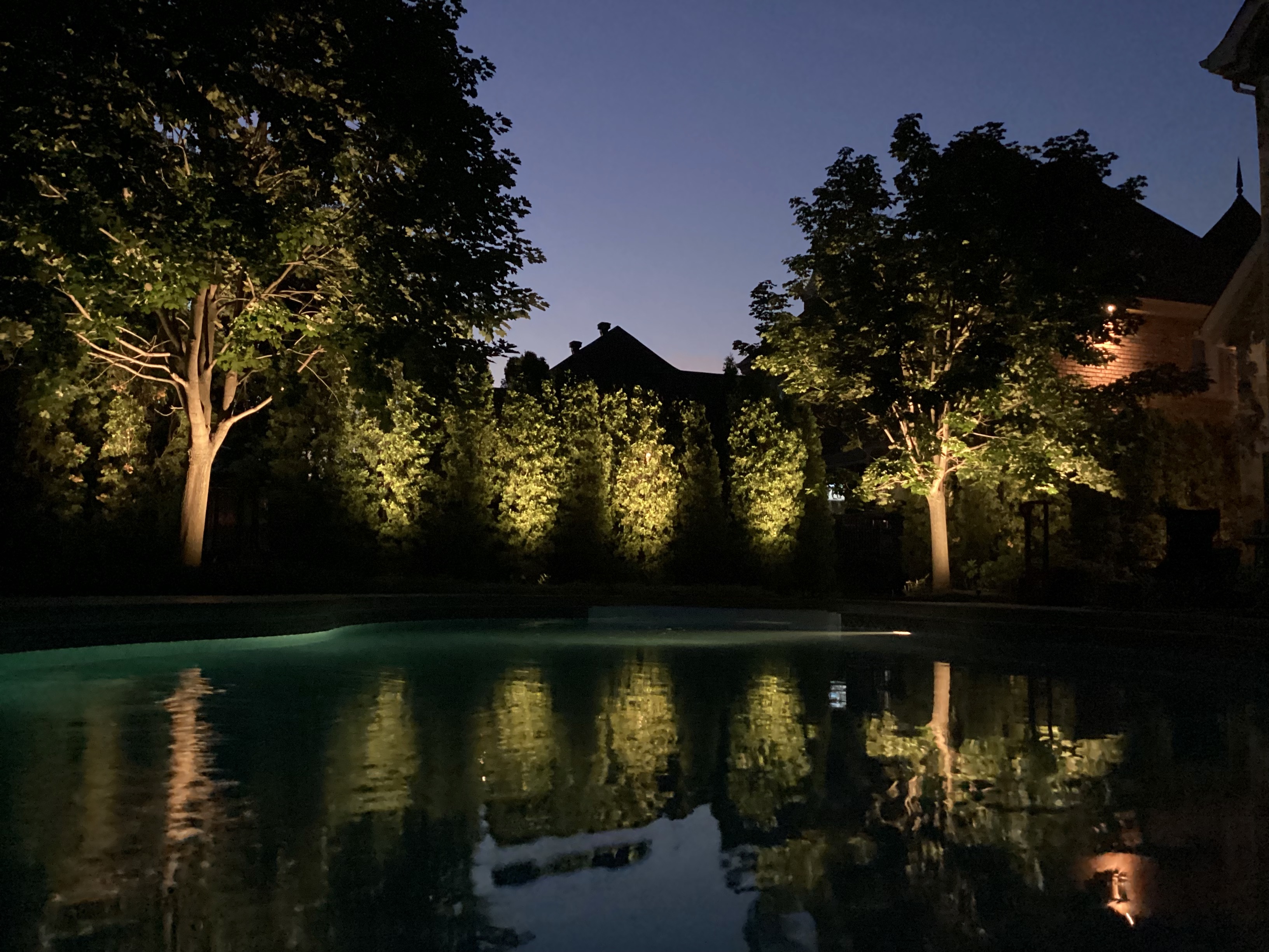 Enhance Your Garden with Landscape Lighting