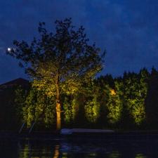 Enhance-Your-Garden-with-Landscape-Lighting 2