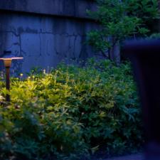 Enhance-Your-Garden-with-Landscape-Lighting 14