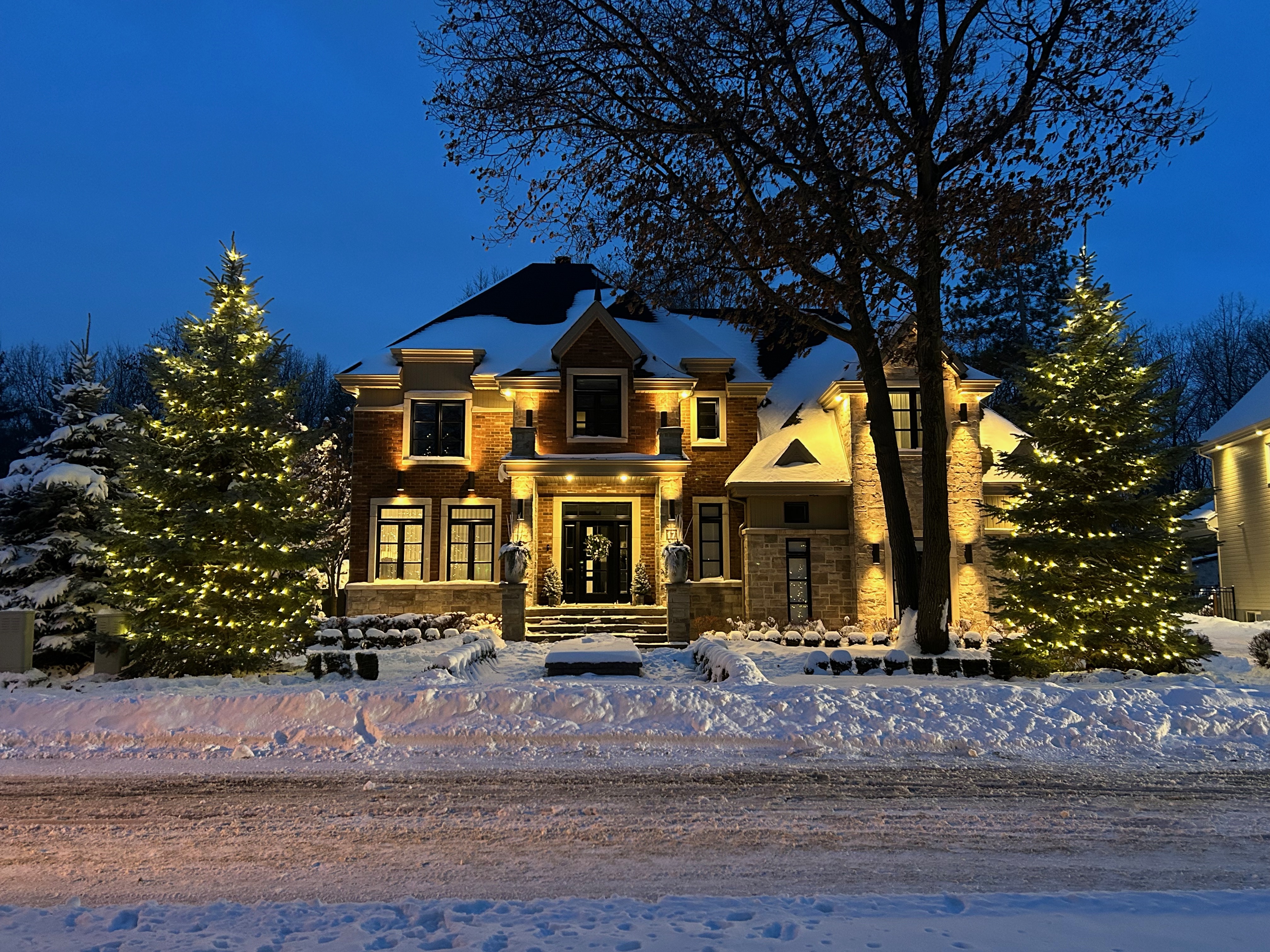 Installing Christmas lights on your trees in Terrebonne!