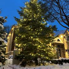 Installing-Christmas-lights-on-your-trees-in-Terrebonne 1