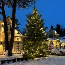 Installing-Christmas-lights-on-your-trees-in-Terrebonne 2