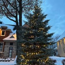 Installing-Christmas-lights-on-your-trees-in-Terrebonne 4