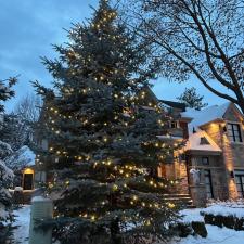 Installing-Christmas-lights-on-your-trees-in-Terrebonne 5