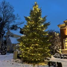 Installing-Christmas-lights-on-your-trees-in-Terrebonne 6