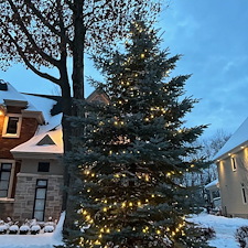 Sapin de noel a terrebonne