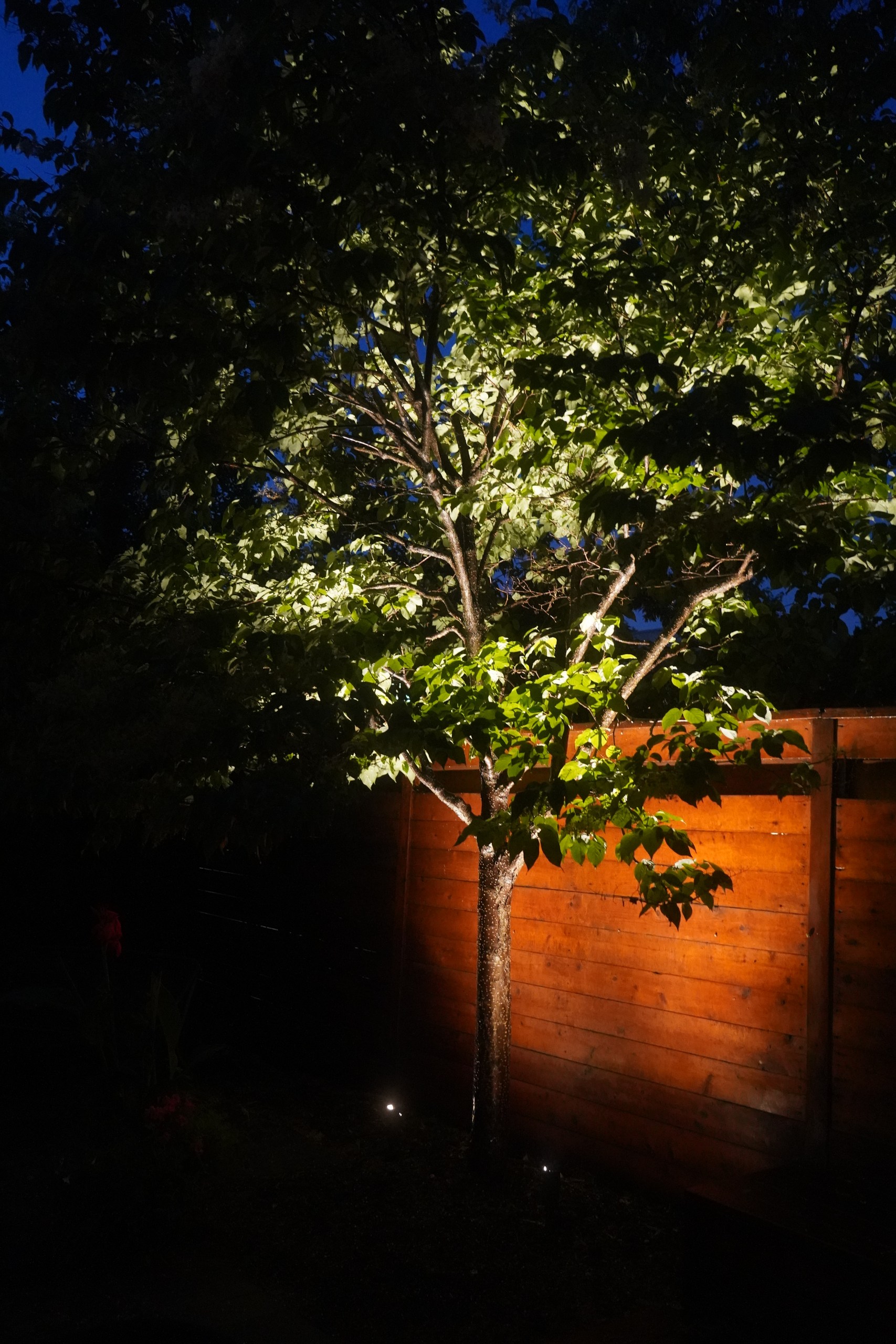 Landscape Lighting Repair & Upgrade in Ahuntsic, Montreal