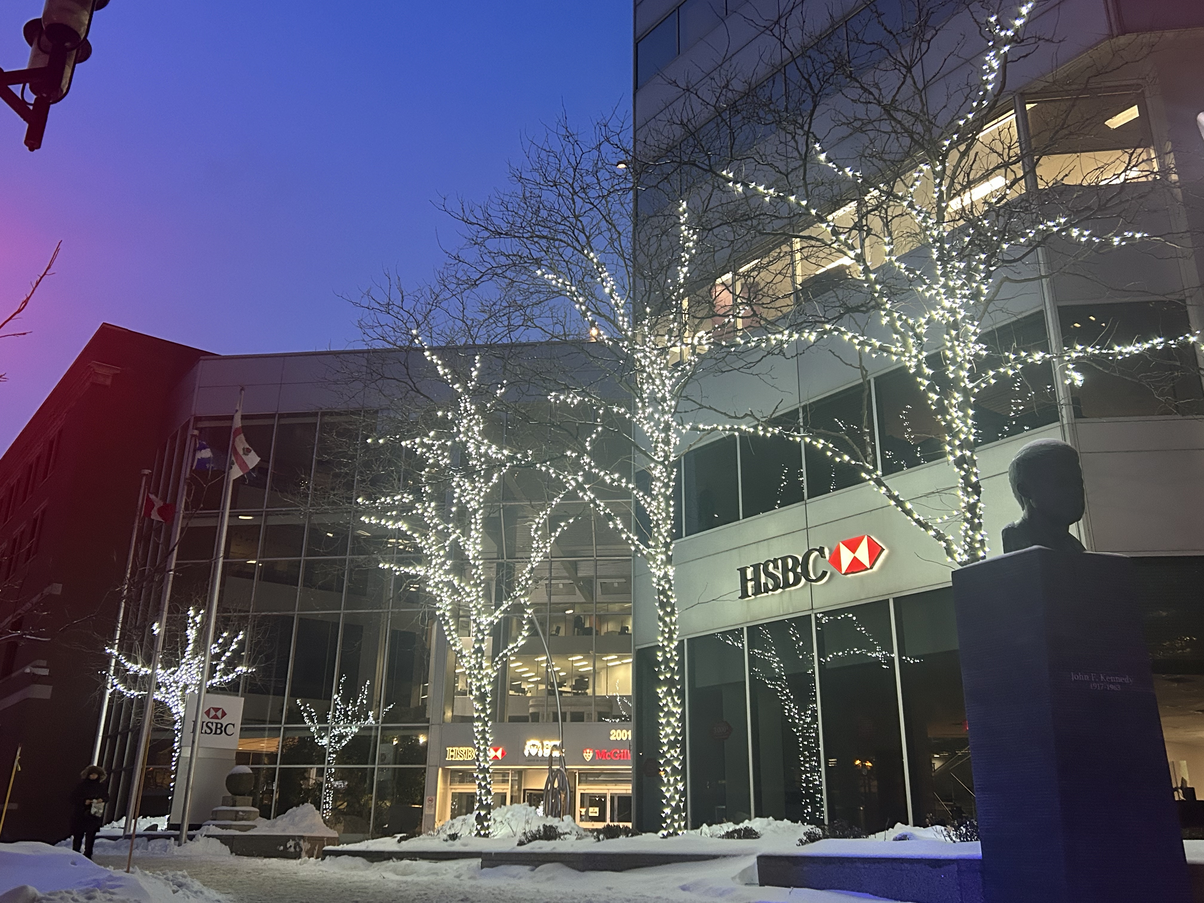 Professional Commercial Christmas Lighting Installation in Montreal