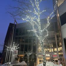 Professional-Commercial-Christmas-Lighting-Installation-in-Montreal 4