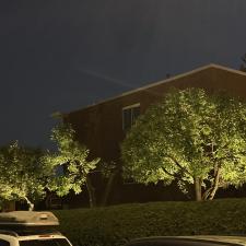 Professional-landscape-lighting-in-Laval 6