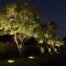 Professional-landscape-lighting-in-Laval 9