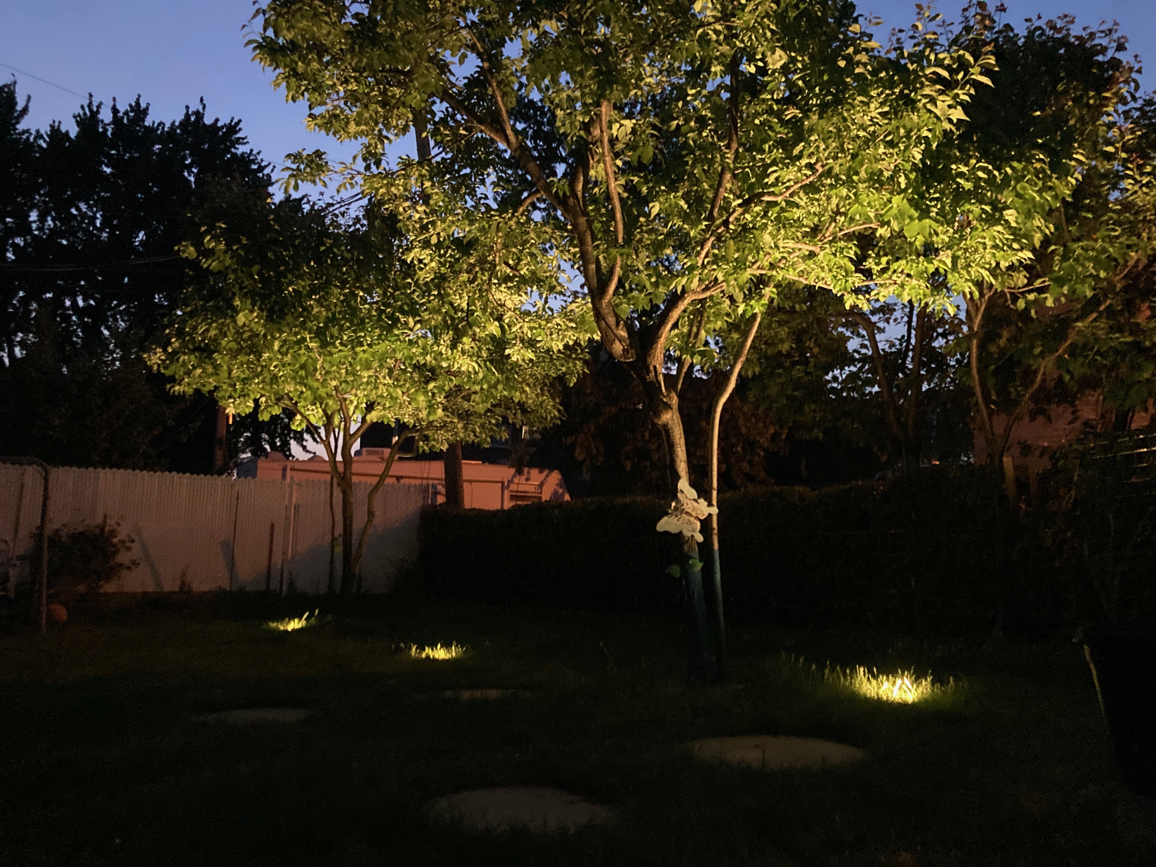 Professional landscape lighting in Laval