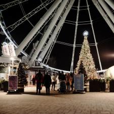 The-Christmas-tree-at-La-Grande-Roue-de-Montral 1