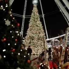 The-Christmas-tree-at-La-Grande-Roue-de-Montral 13